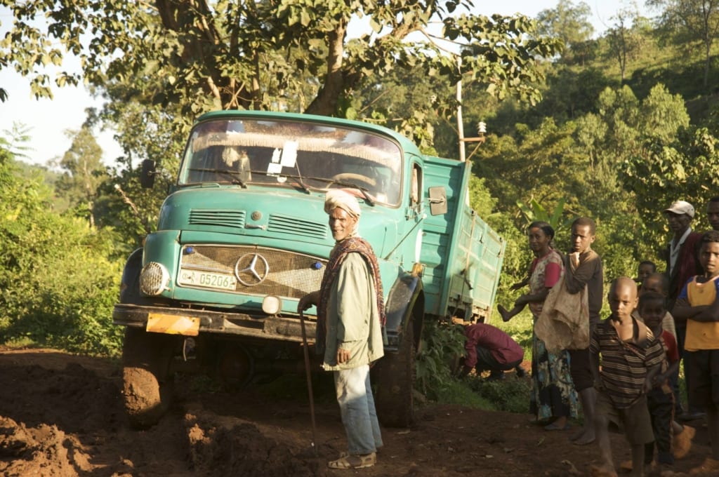 coffee farmer